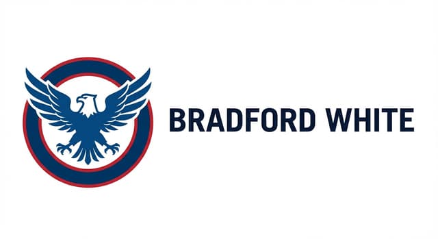 Bradford White logo